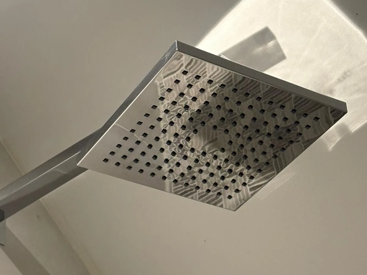 Shower head descaled